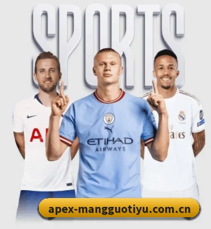 本站五个常用功能入口,赛程查询路径更短 - 多运动项目内容板块 | MangoSport